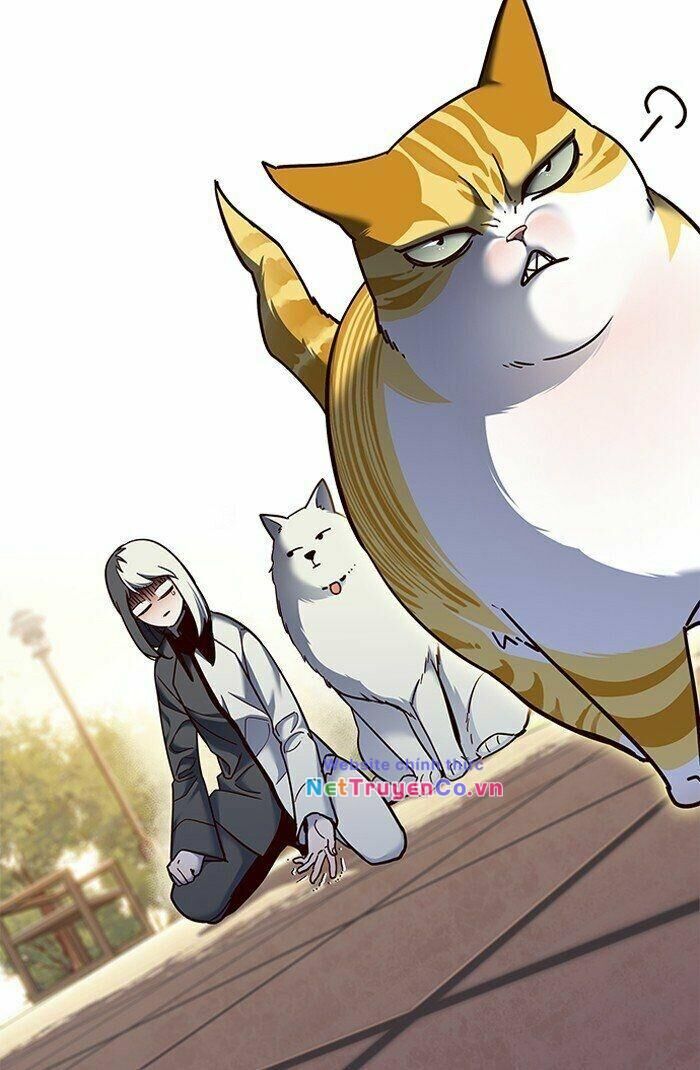 Cô Dâu Của Sói Trắng Chapter 81 - Trang 2