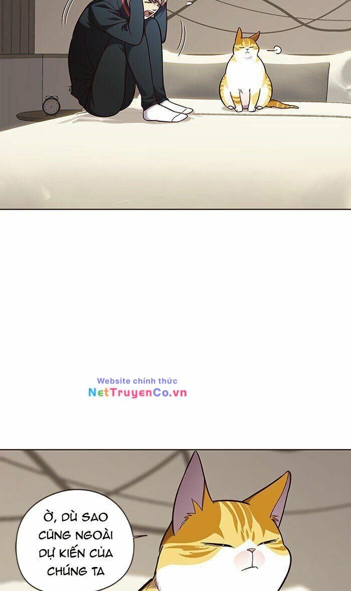 Cô Dâu Của Sói Trắng Chapter 82 - Trang 2