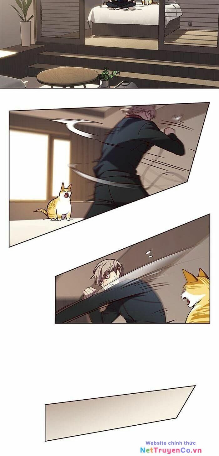 Cô Dâu Của Sói Trắng Chapter 83 - Trang 2