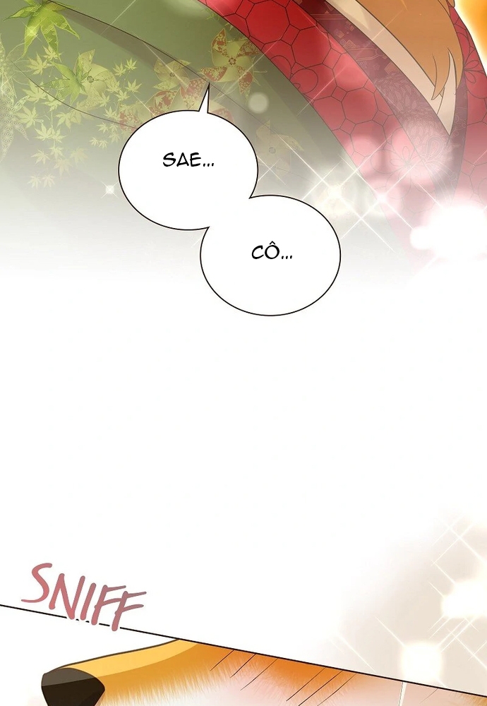 Cô Dâu Của Sói Trắng Chapter 85.1 - Trang 2