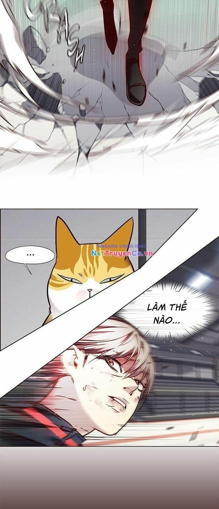 Cô Dâu Của Sói Trắng Chapter 87 - Trang 2