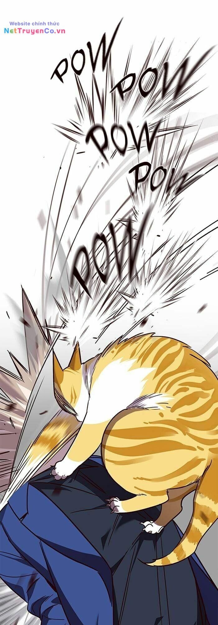 Cô Dâu Của Sói Trắng Chapter 89 - Trang 2