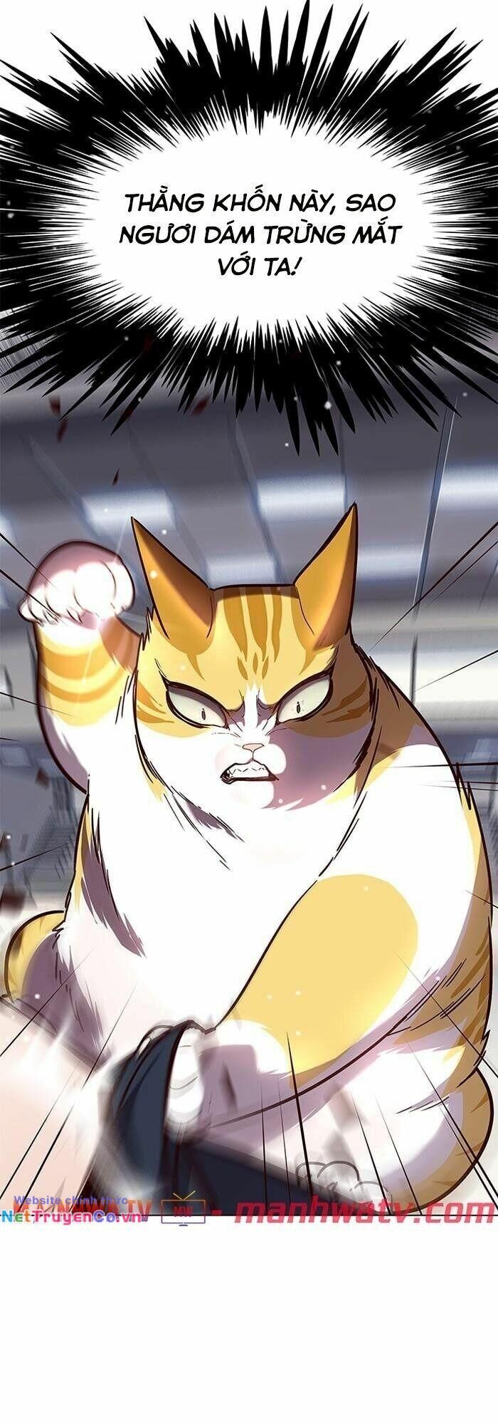 Cô Dâu Của Sói Trắng Chapter 89 - Trang 2
