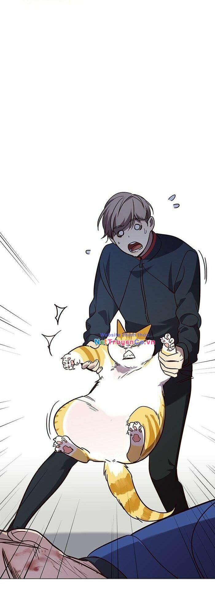 Cô Dâu Của Sói Trắng Chapter 89 - Trang 2