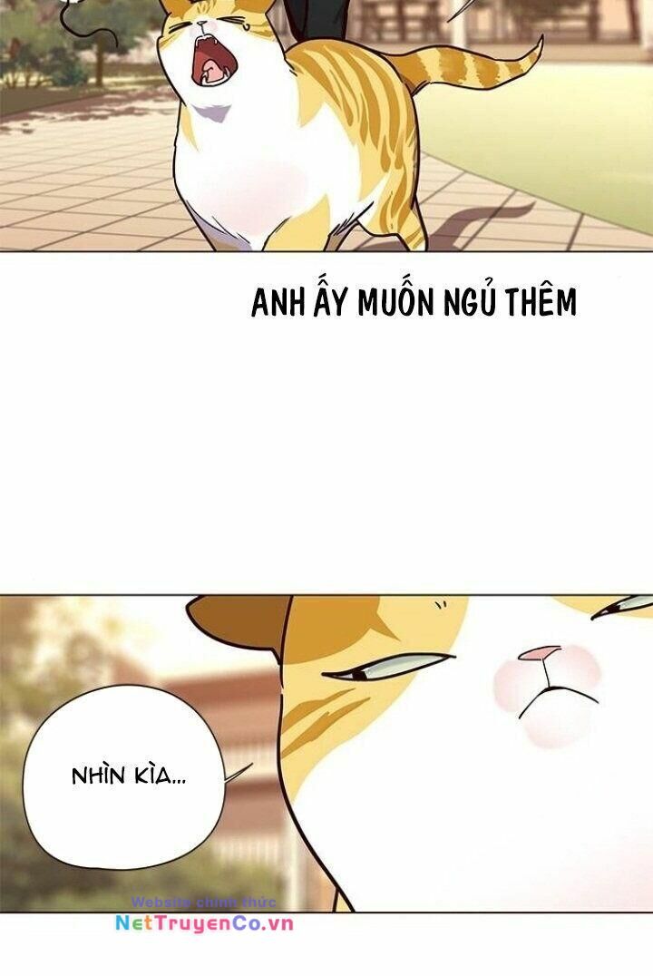 Cô Dâu Của Sói Trắng Chapter 90 - Trang 2