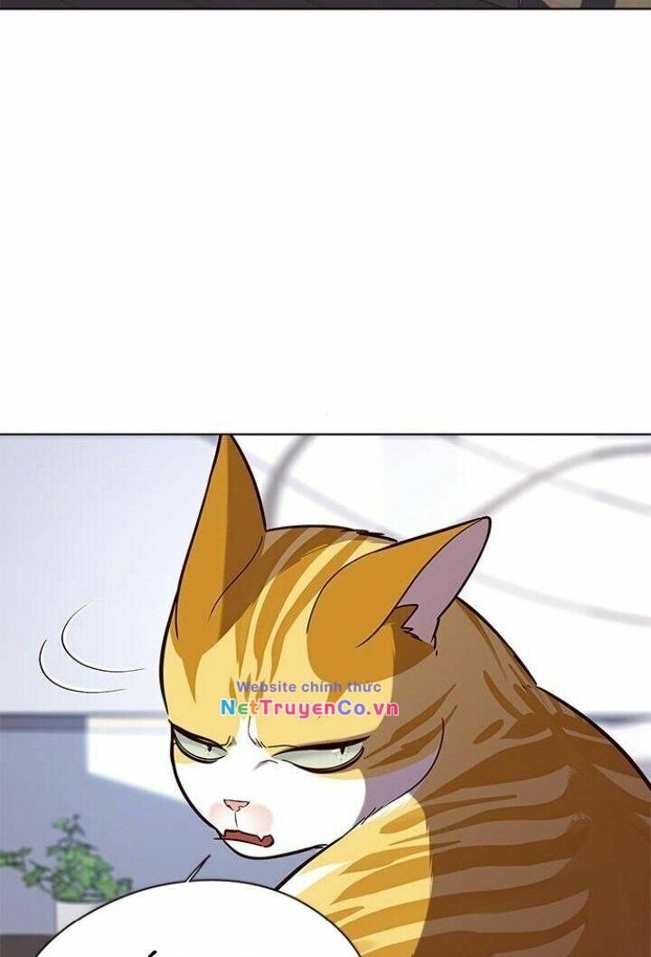 Cô Dâu Của Sói Trắng Chapter 90 - Trang 2