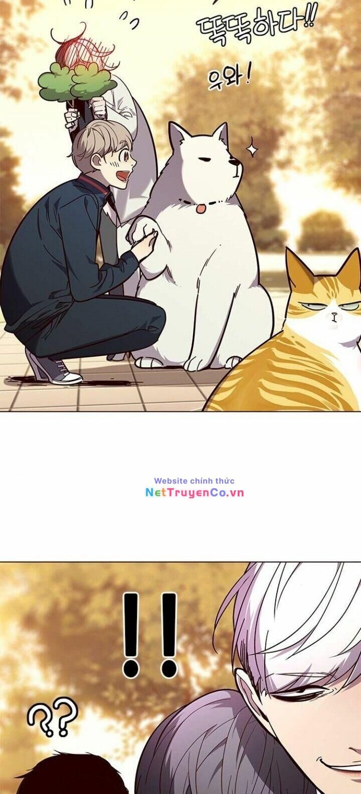 Cô Dâu Của Sói Trắng Chapter 90 - Trang 2