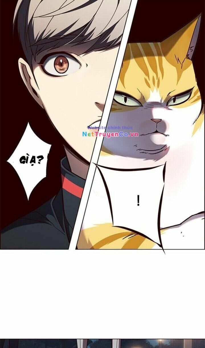 Cô Dâu Của Sói Trắng Chapter 91 - Trang 2