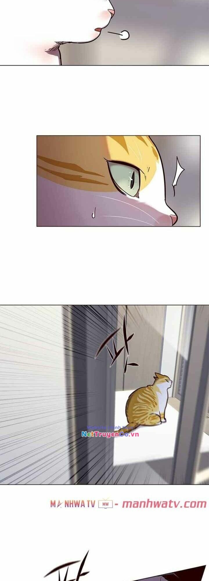 Cô Dâu Của Sói Trắng Chapter 92 - Trang 2