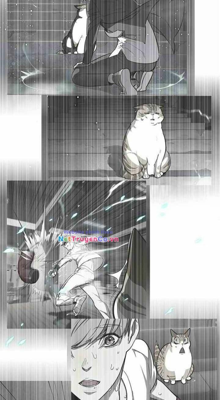 Cô Dâu Của Sói Trắng Chapter 93 - Trang 2