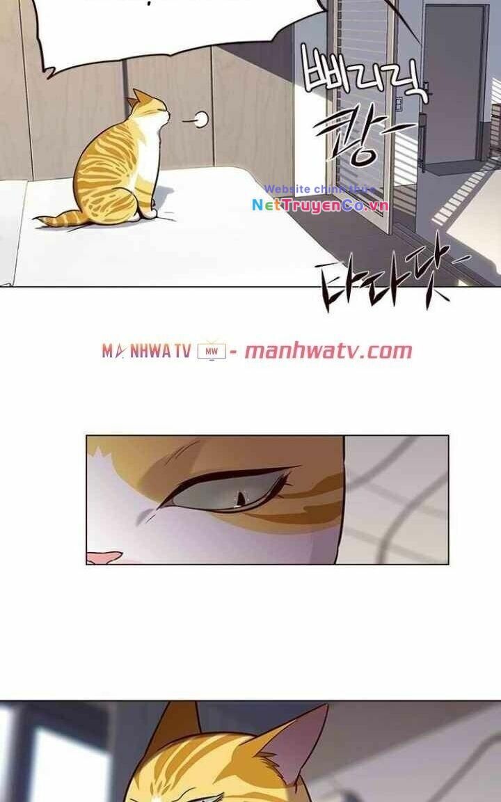 Cô Dâu Của Sói Trắng Chapter 95 - Trang 2