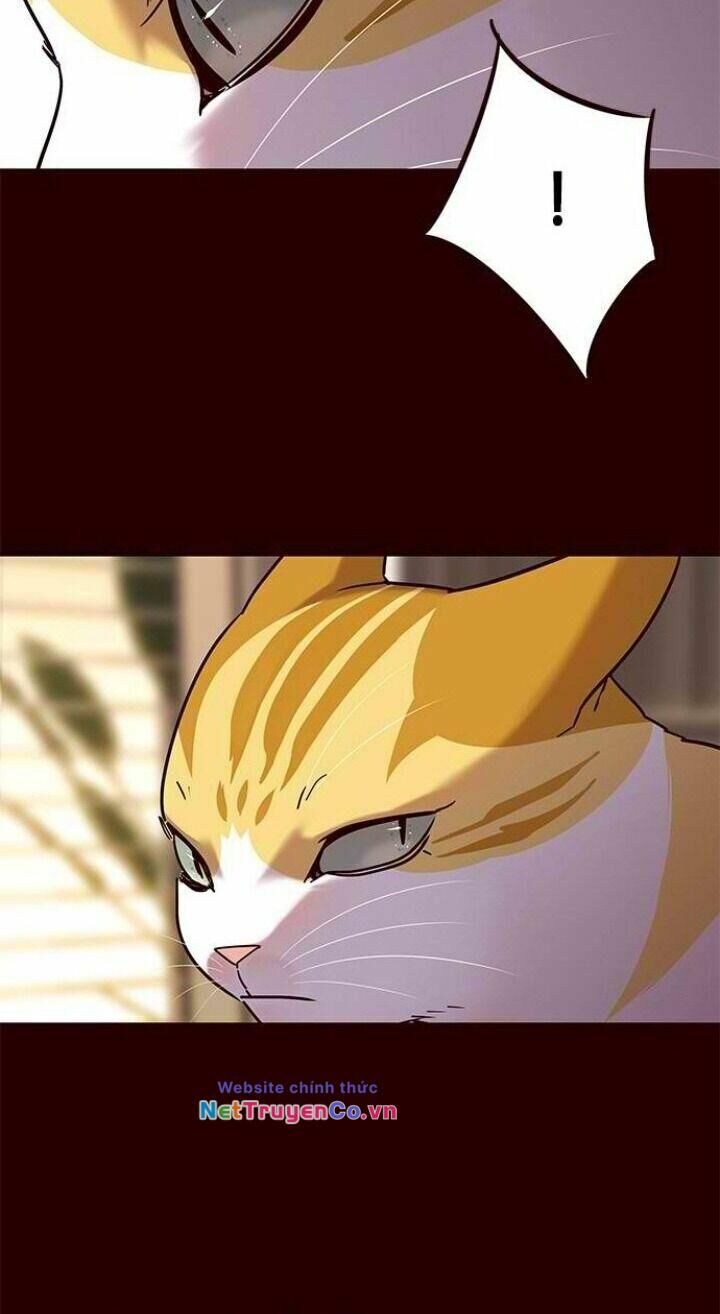 Cô Dâu Của Sói Trắng Chapter 96 - Trang 2