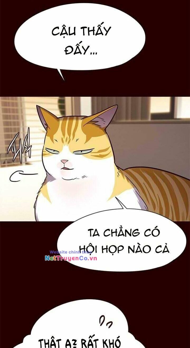 Cô Dâu Của Sói Trắng Chapter 96 - Trang 2