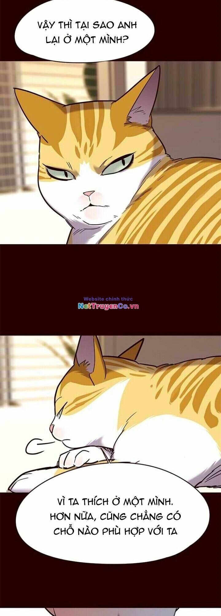 Cô Dâu Của Sói Trắng Chapter 96 - Trang 2