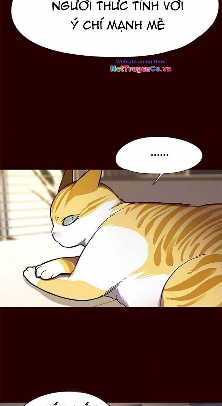 Cô Dâu Của Sói Trắng Chapter 96 - Trang 2