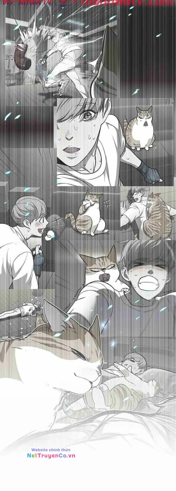 Cô Dâu Của Sói Trắng Chapter 99 - Trang 2