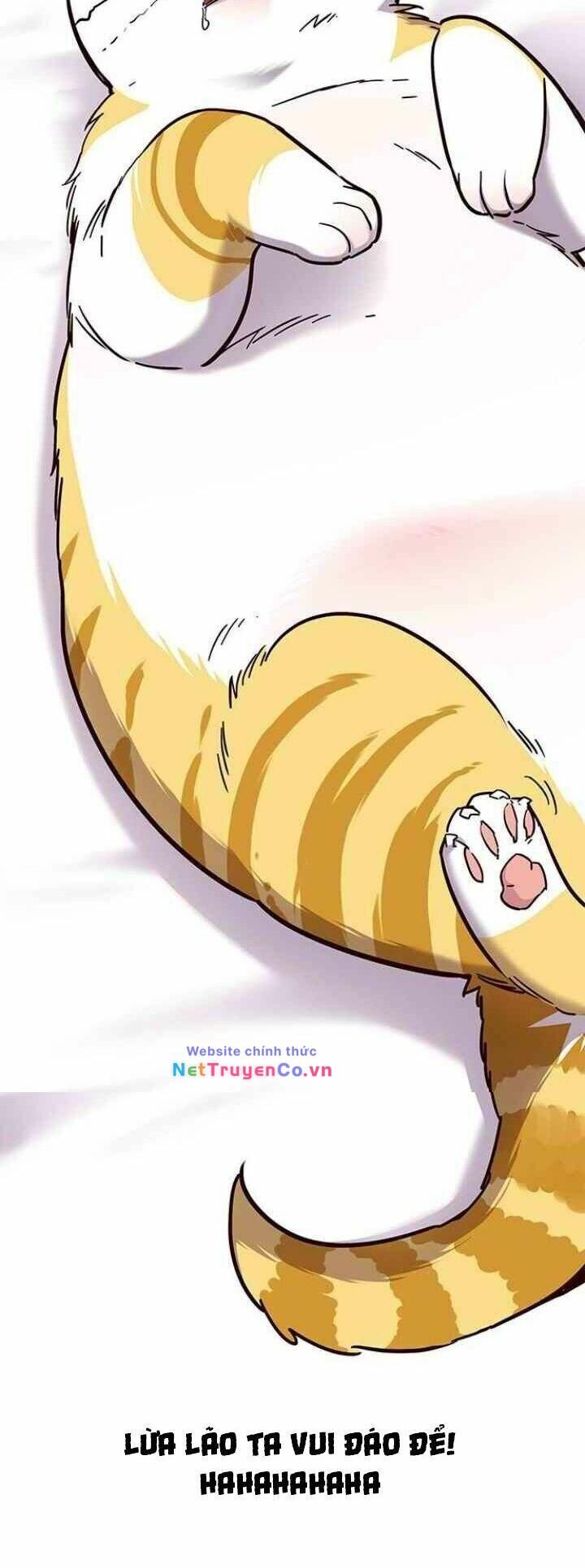 Cô Dâu Của Sói Trắng Chapter 99 - Trang 2