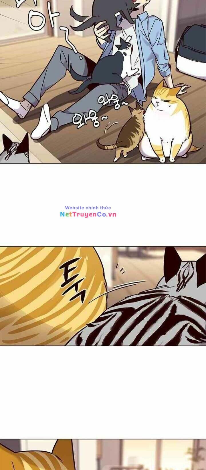 Cô Dâu Của Sói Trắng Chapter 99 - Trang 2