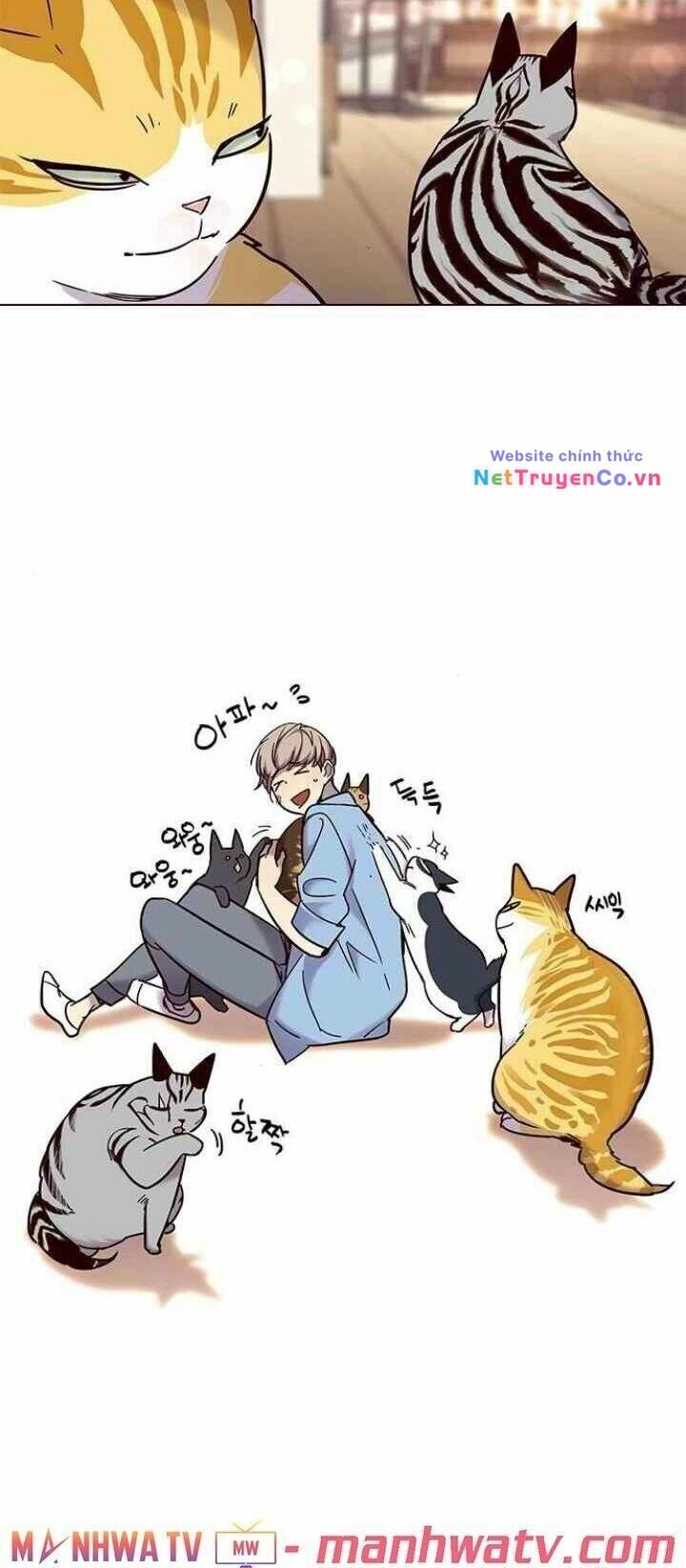 Cô Dâu Của Sói Trắng Chapter 99 - Trang 2