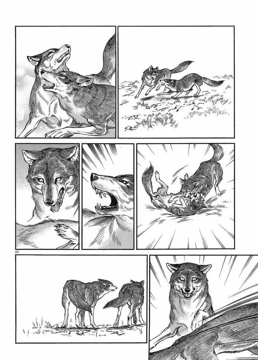 Cô Dâu Thảo Nguyên Chapter 18 - Trang 2