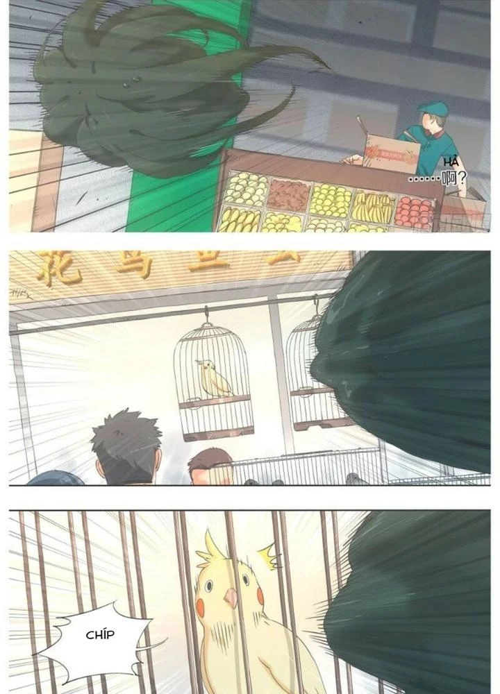 Cô Gái Chùy Của Tôi Chapter 29 - Trang 2