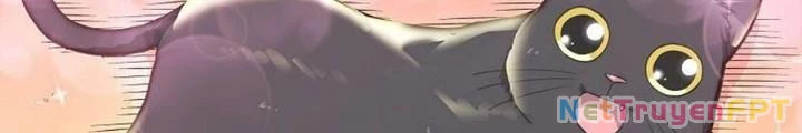 Cô Gái Chùy Của Tôi Chapter 4 - Trang 2