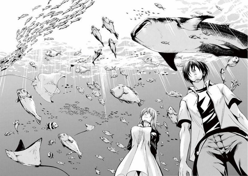 Cô Gái Thích Lặn – Grand Blue Chapter 4 - Trang 2
