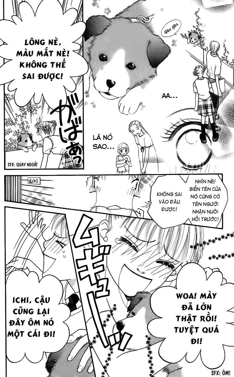 Cô Láng Giềng Chapter 16 - Trang 2