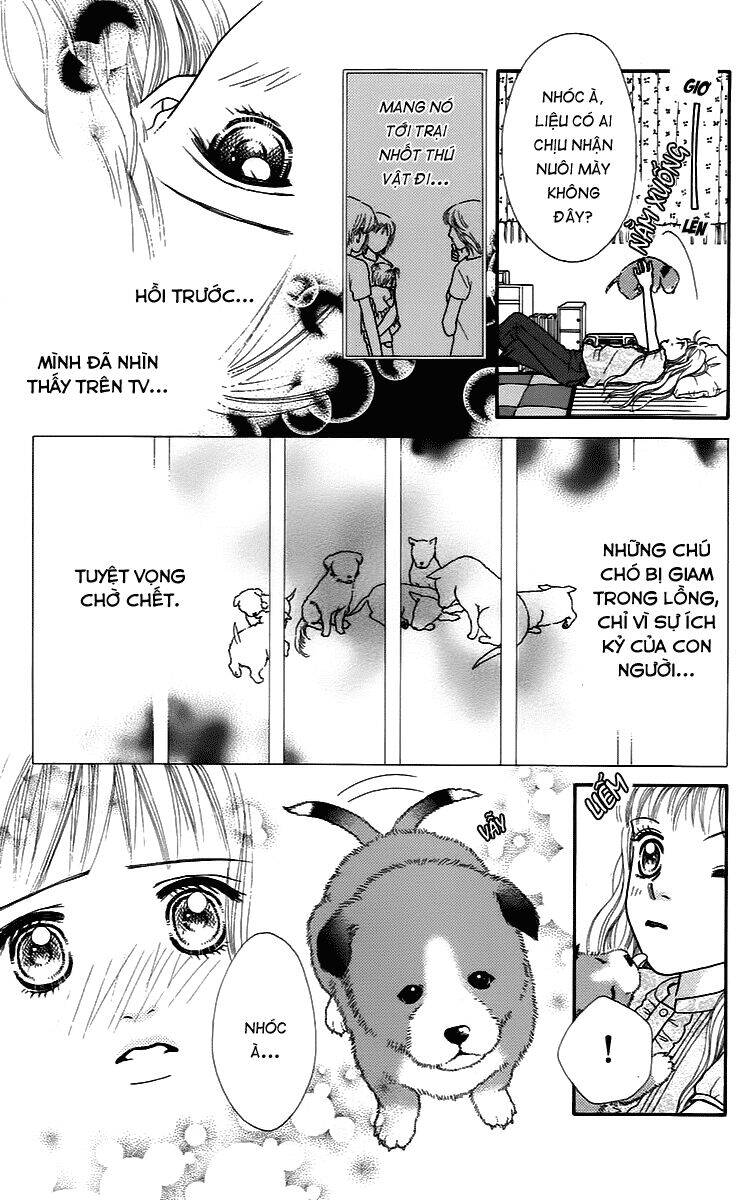 Cô Láng Giềng Chapter 9 - Trang 2