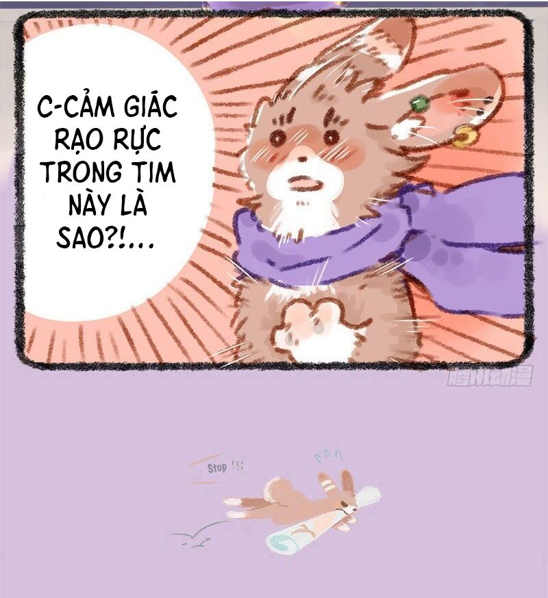 Có Linh Thú Chapter 10 - Trang 2