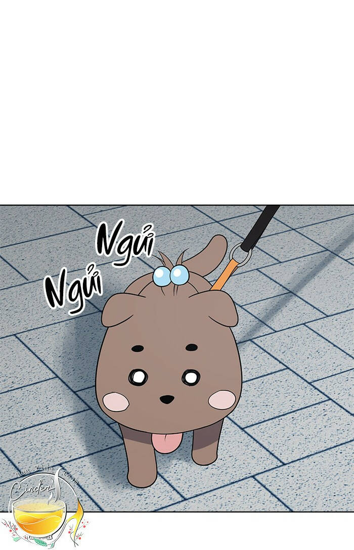 Cô Nàng Hết Thuốc Chữa Chapter 47 - Trang 2