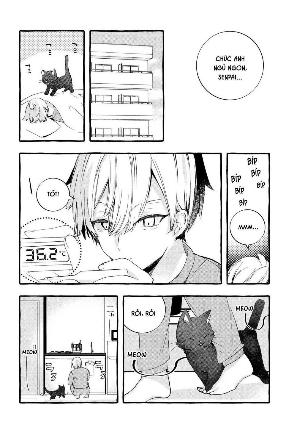 Cô Nàng Lạnh Lùng Trên Trường Lại Là Mèo Cưng Của Tôi Chapter 1 - Trang 2