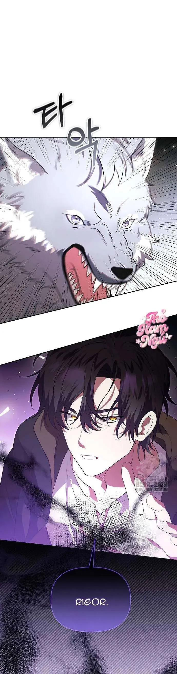 Có Nhiều Nam Chính Quá Đi! Chapter 49 - Trang 2