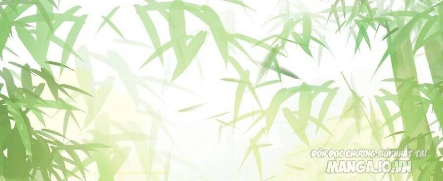 Cố Tiểu Thư Và Khúc Tiểu Thư Chapter 3 - Trang 2