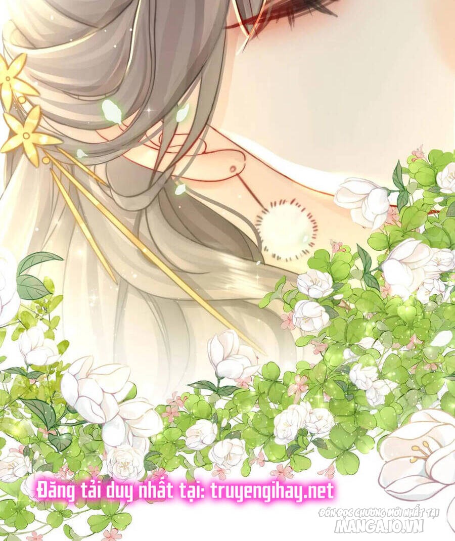 Cố Tiểu Thư Và Khúc Tiểu Thư Chapter 5 - Trang 2