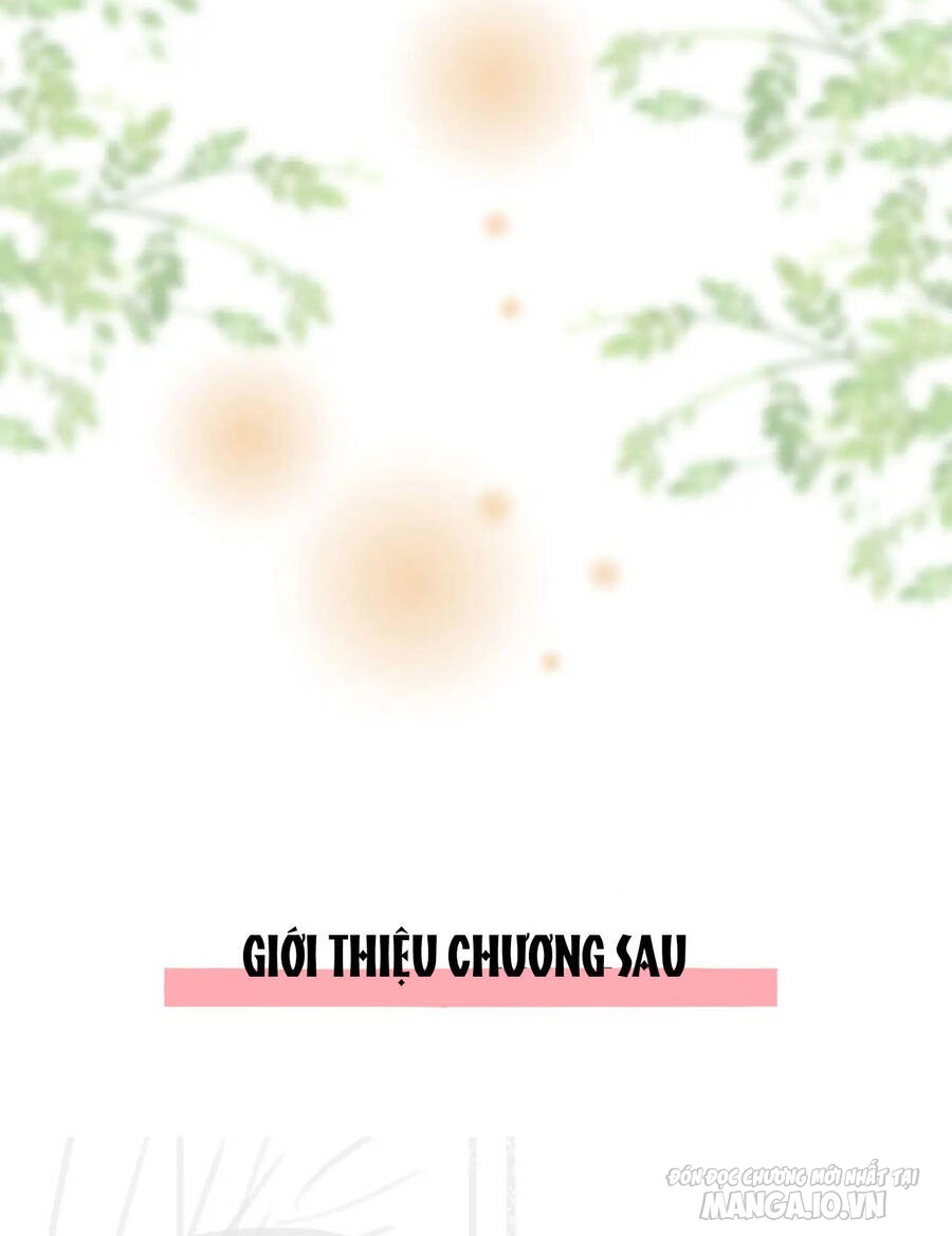 Cố Tiểu Thư Và Khúc Tiểu Thư Chapter 8 - Trang 2