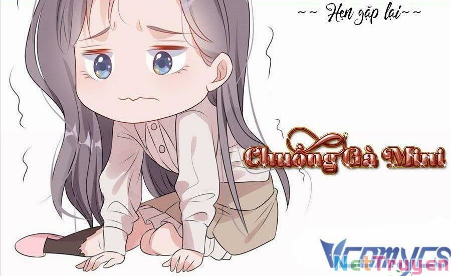 Cố Tổng, Vợ Của Ngài Quá Mạnh Rồi! Chapter 101 - Trang 2