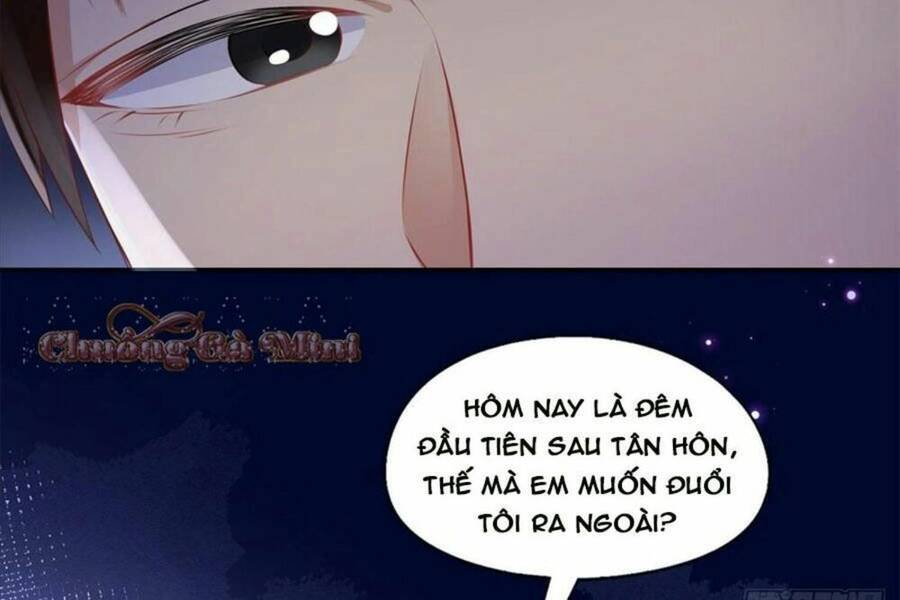 Cố Tổng, Vợ Của Ngài Quá Mạnh Rồi! Chapter 2 - Trang 2