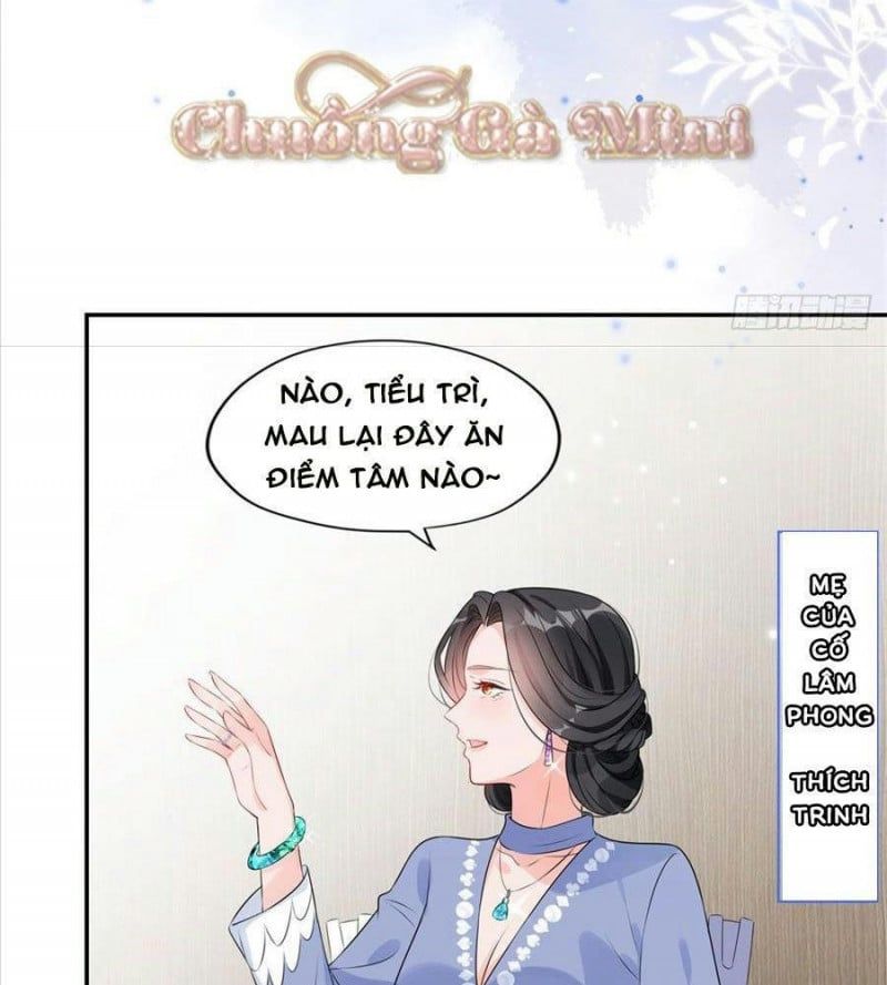 Cố Tổng, Vợ Của Ngài Quá Mạnh Rồi! Chapter 3.5 - Trang 2