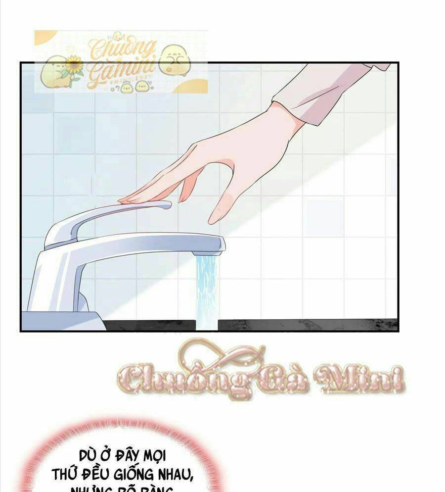 Cố Tổng, Vợ Của Ngài Quá Mạnh Rồi! Chapter 3 - Trang 2