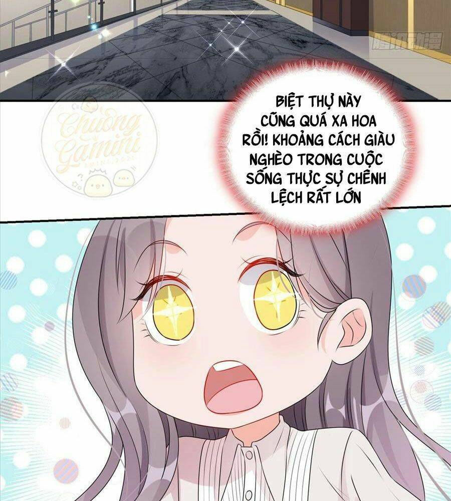 Cố Tổng, Vợ Của Ngài Quá Mạnh Rồi! Chapter 3 - Trang 2