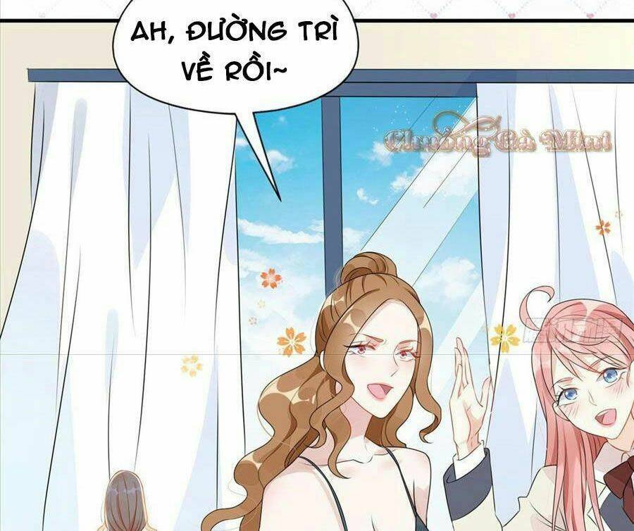 Cố Tổng, Vợ Của Ngài Quá Mạnh Rồi! Chapter 5 - Trang 2