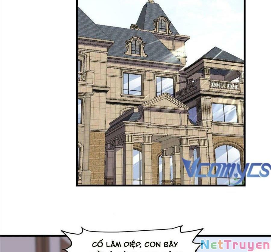 Cố Tổng, Vợ Của Ngài Quá Mạnh Rồi! Chapter 93 - Trang 2