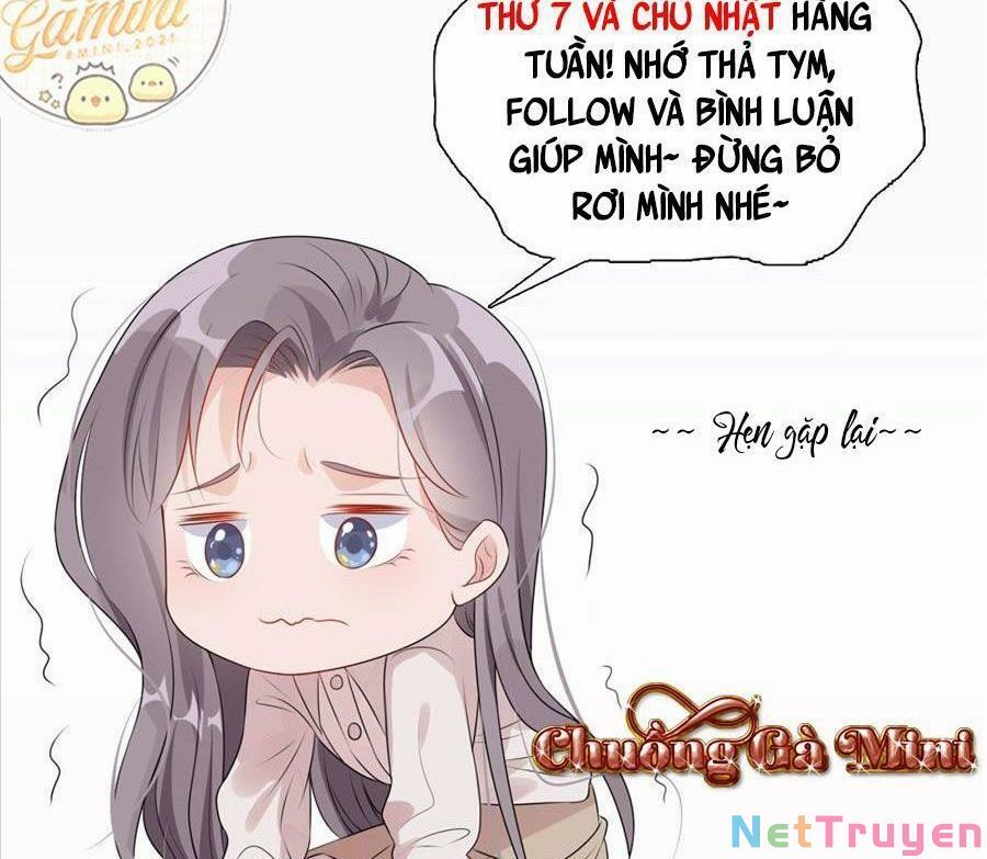 Cố Tổng, Vợ Của Ngài Quá Mạnh Rồi! Chapter 94 - Trang 2