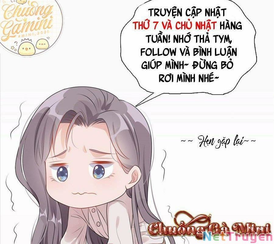 Cố Tổng, Vợ Của Ngài Quá Mạnh Rồi! Chapter 96 - Trang 2