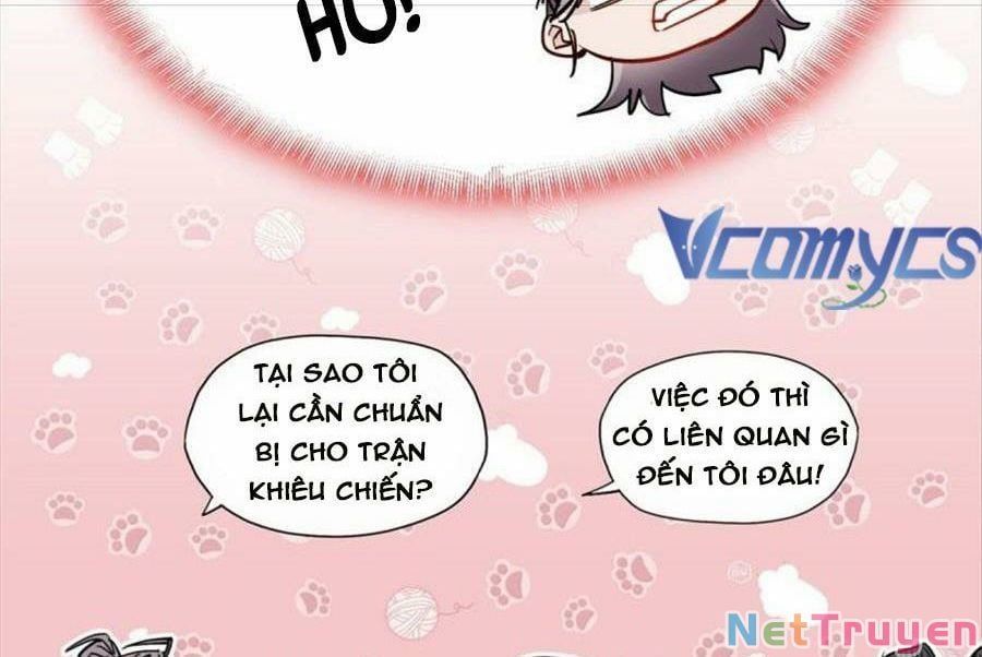 Cố Tổng, Vợ Của Ngài Quá Mạnh Rồi! Chapter 98 - Trang 2
