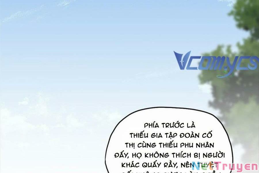 Cố Tổng, Vợ Của Ngài Quá Mạnh Rồi! Chapter 98 - Trang 2