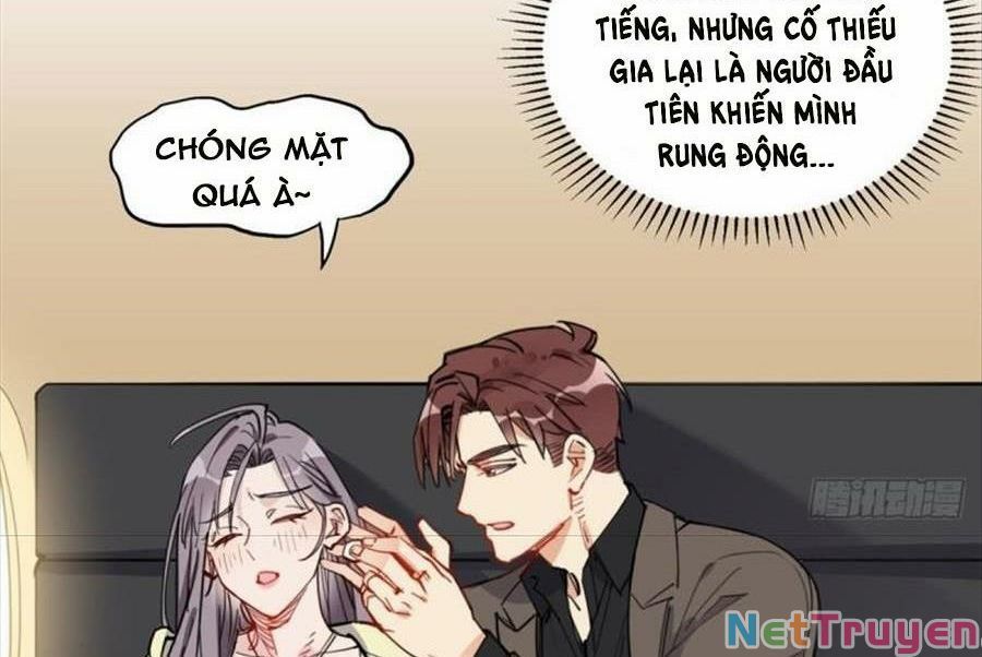 Cố Tổng, Vợ Của Ngài Quá Mạnh Rồi! Chapter 98 - Trang 2