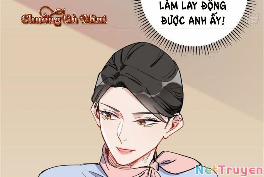 Cố Tổng, Vợ Của Ngài Quá Mạnh Rồi! Chapter 98 - Trang 2