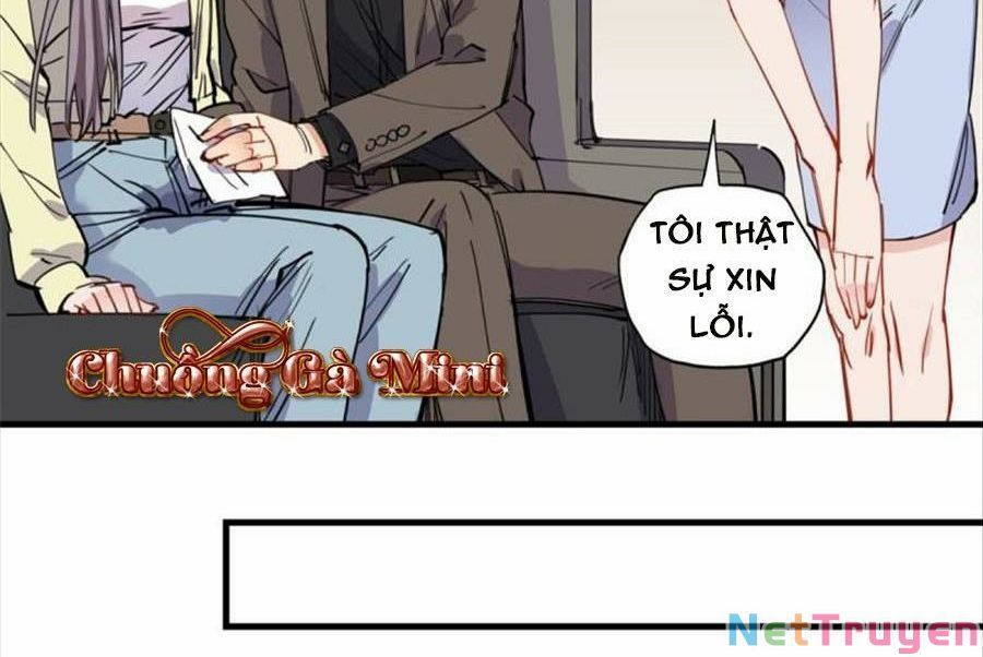 Cố Tổng, Vợ Của Ngài Quá Mạnh Rồi! Chapter 98 - Trang 2